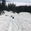 Hollyburn Mountain photo