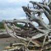Iona Beach Regional Park photo