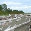 Iona Beach Regional Park photo