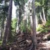 St Mark's Summit photo