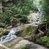 Woodland Walk Trail photo