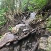 Dog Mountain photo