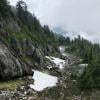 Mount Seymour photo