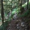 Big Cedar and Kennedy Falls Trail photo