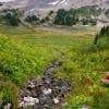 Panorama Ridge photo