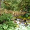 Slesse Memorial Trail photo