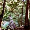 Brothers Creek Loop photo