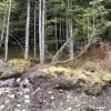 Watersprite Lake photo