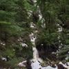 Brothers Creek Loop photo