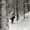 Elk Mountain photo