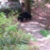 Crystal Falls photo