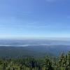 Dog Mountain photo