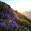 Mount Cheam photo