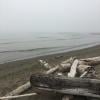Iona Beach Regional Park photo