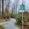 Capilano Pacific Trail photo
