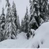 Eagle Bluffs photo