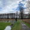 Deas Island Regional Park photo
