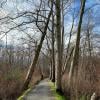 Deas Island Regional Park photo