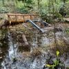 Burns Bog Delta Nature Reserve photo