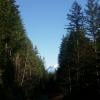 Hunter Road Trail photo
