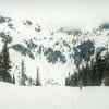 Brandywine Meadows photo