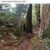 Tunnel Bluffs photo