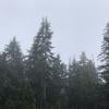 Lynn Peak photo
