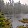 Brothers Creek Loop photo