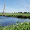 Serpentine Fen Nature Trail photo
