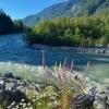 Crooked Falls photo