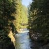 Capilano Canyon photo