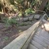 Capilano Canyon photo