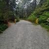 Woodland Walk Trail photo