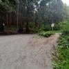Woodland Walk Trail photo