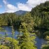 Petgill Lake photo