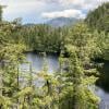 Petgill Lake photo