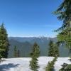 Hollyburn Mountain photo