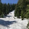 Hollyburn Mountain photo