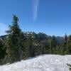 Hollyburn Mountain photo