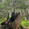 Eagle Bluffs photo