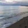 Iona Beach Regional Park photo