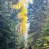 Rainbow Lake photo