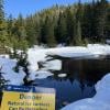 Dog Mountain photo