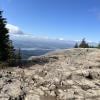 Dog Mountain photo