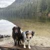 Davis Lake and McDonald Falls photo