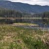 Minnekhada Regional Park photo