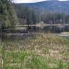 Minnekhada Regional Park photo