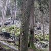Minnekhada Regional Park photo