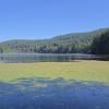 Killarney Lake photo