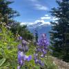High Note Trail photo